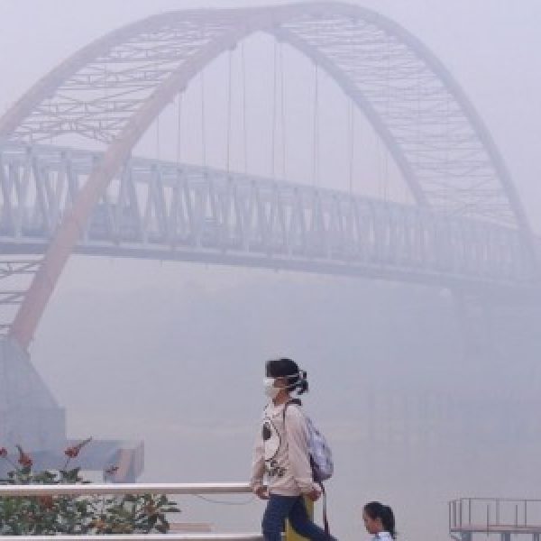 Dampak Asap Karhutla Terhadap Kesehatan: Iritasi Hingga Kematian