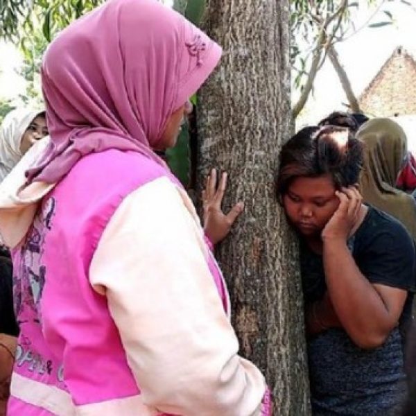 Viral! Pohon Akasia Keluarkan Suara Tangis Perempuan di Jember