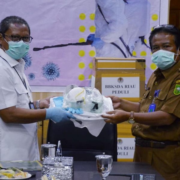 KLHK Salurkan Bantuan APD ke RSUD Arifin Achmad Riau