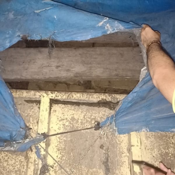 KLHK Tangkap Dua Pelaku Illegal Loging di Sarolangun Jambi