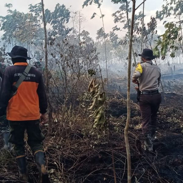 Patroli Terpadu KLHK, Kurangi Titik Panas di Sumatera