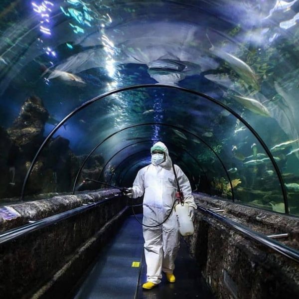 Lembaga Konservasi Jaga Komitmen Bersama Penyelamatan Satwa Selama Pandemi Covid-19