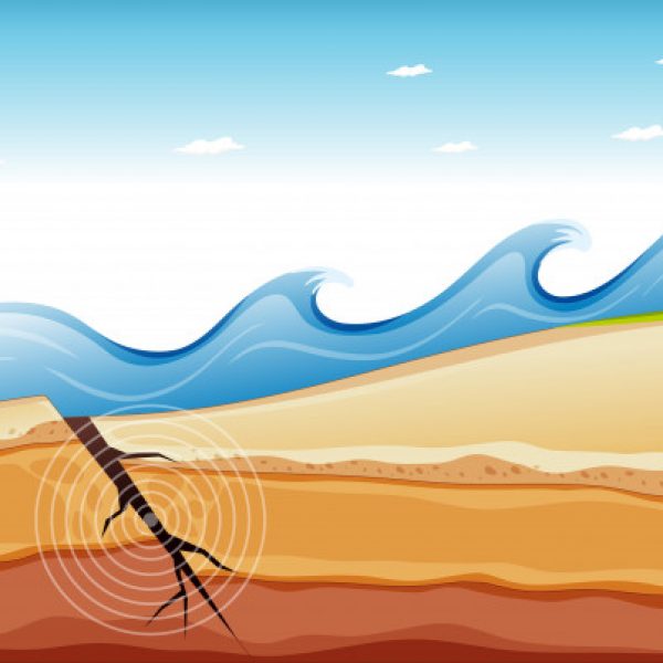 PLN Pastikan Sistem Kelistrikan Aman Pasca Gempa di KKT dan MBD