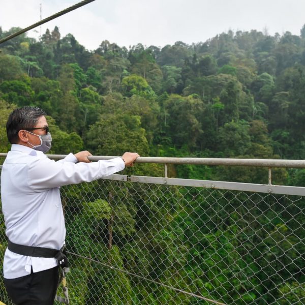 Wamen LHK Minta Terapkan New Normal di Situ Gunung Suspension Bridge