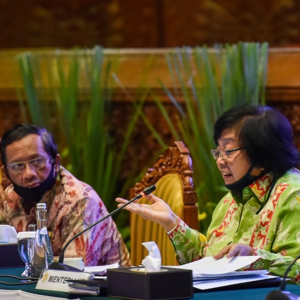 KLHK: Laporan 11 LSM Terkait Deforestasi Papua Sangat Prematur