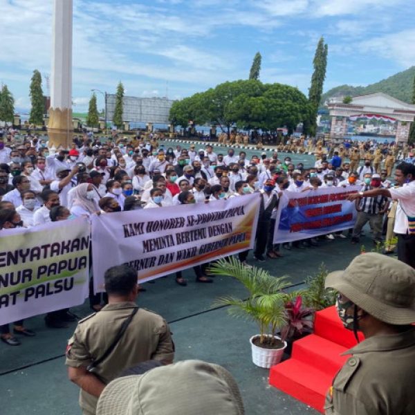 Wagub Papua Bantu Perjuangkan Tuntutan Tenaga Honorer