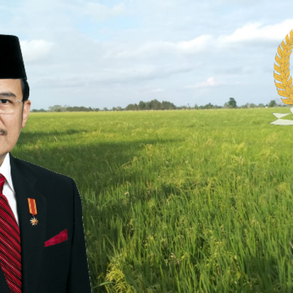 Hari Pangan Sedunia, Teras Narang Minta Pemda Sinergi Hadapi Tantangan Pangan