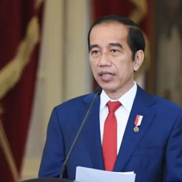 Jokowi Tekankan Pentingnya Kehati-hatian Pembiayaan dalam RAPBN 2025