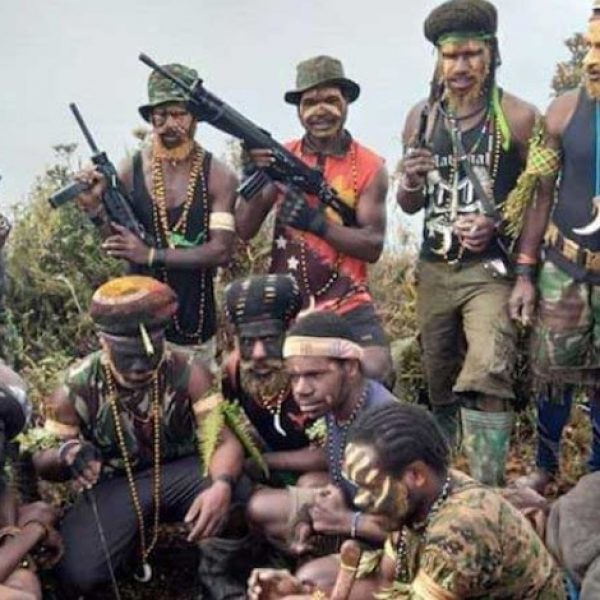 BNPT Wacanakan OPM Jadi Organisasi Teroris, Komnas HAM: Jangan Gegabah