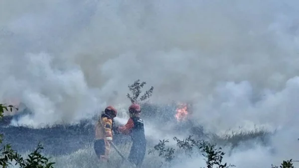 BMKG Deteksi 6.169 Titik Panas di Kalbar, Ketapang dan Kubu Raya Jadi Wilayah Terbanyak